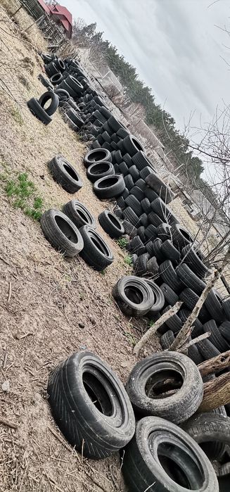 Вітдам безкоштовно шини