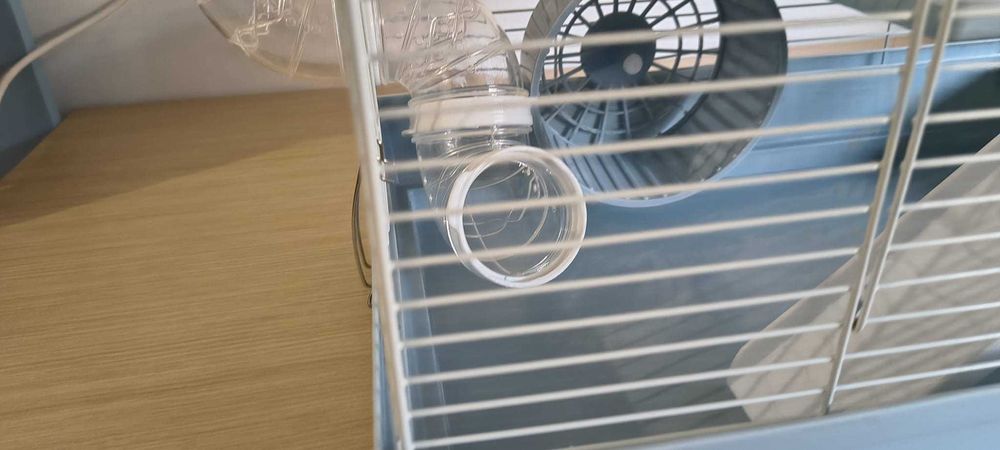 hamster - gaiola impecável + extras