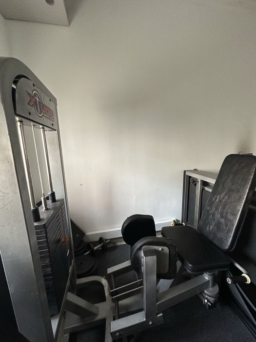 Leg Extension and Abductor Machine483142298754109442