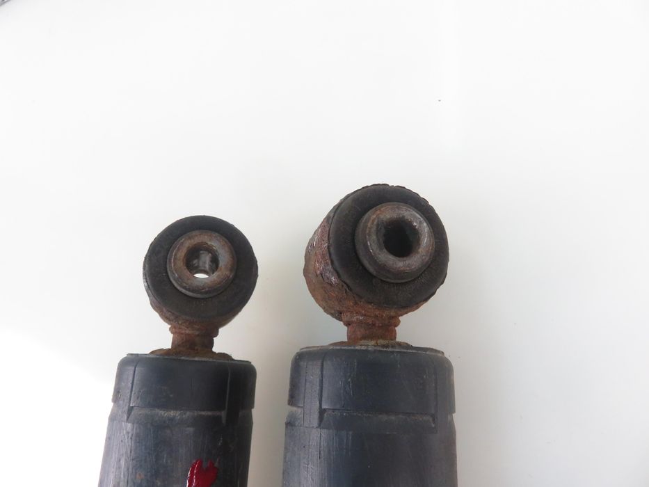 Amortyzatory Tył Citroen C3 II Komplet