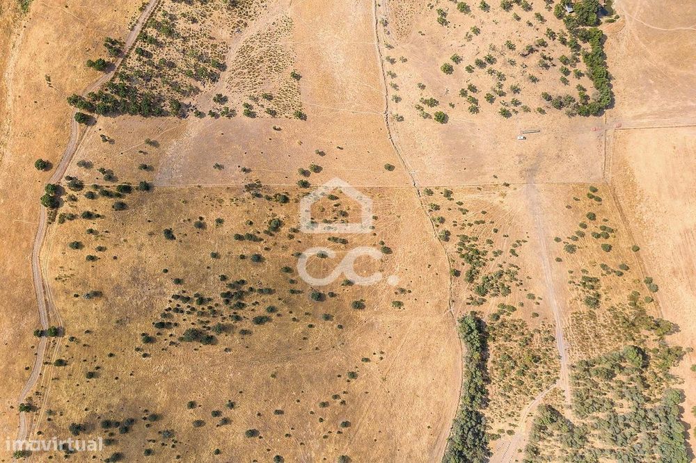 Terreno Rústico de 1,9 ha para Exploração Agrícola | Reguengos de Mons