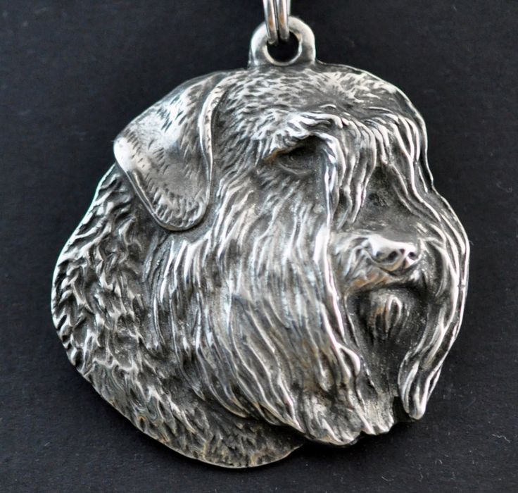 Bouvier naszyjnik na lince Art-Dog
