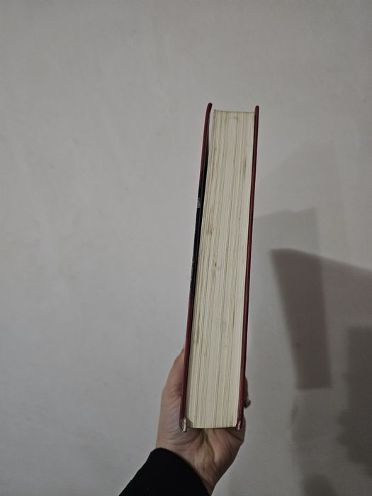 Os órfãos do Mal de Nicolas D'Estienne