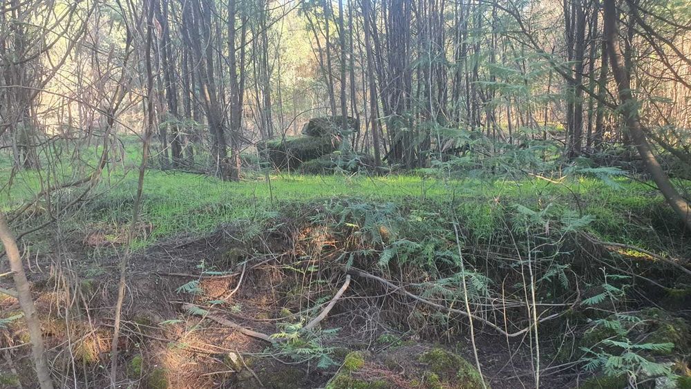 Propriedade com 6ha à Beira do Rio Mondego