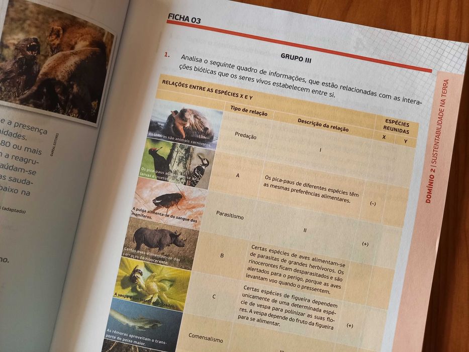 (NOVO, PORTES GRÁTIS) Descobrir a Terra 8: Caderno de Atividades