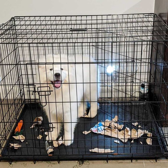 Клітка для собак Польша, клетка переноска вольер для собак ВСІ РОЗМІРИ