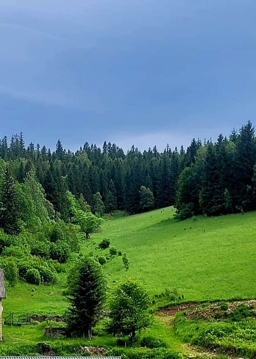 Działki budowlane 2000m2  / Sudety