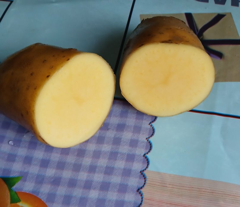 Безкоштовна доставка Картошка, консервація, картопля, бульба