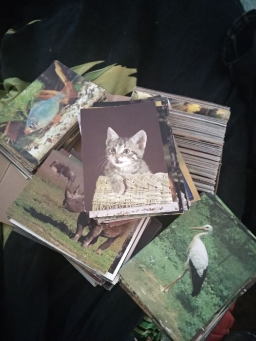 Лот открытки ГДР 80-х