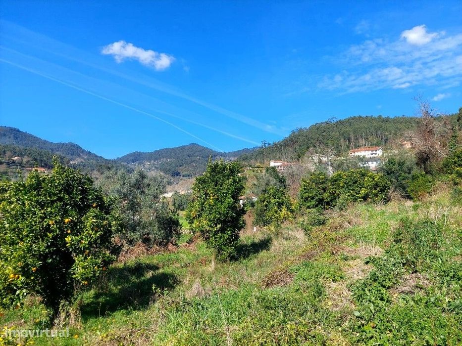 Terreno - Goães — Goães, Braga