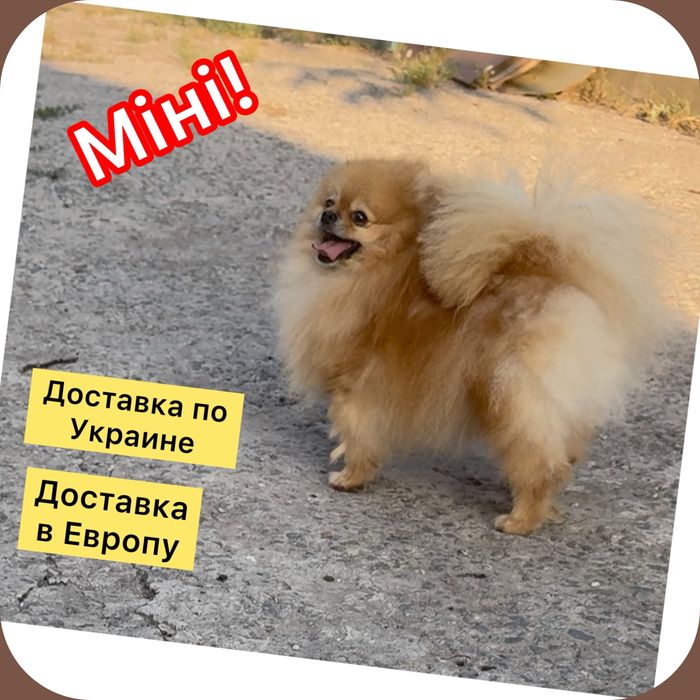 __Міні 3 рочки .Здорова .Ласкава