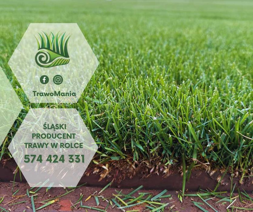 *** TrawoMania – trawa z rolki prosto od producenta ***