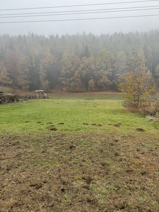 Działka budowlana 9 arów