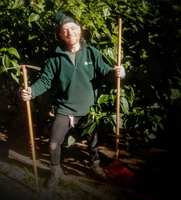 Jardineiro para serviços