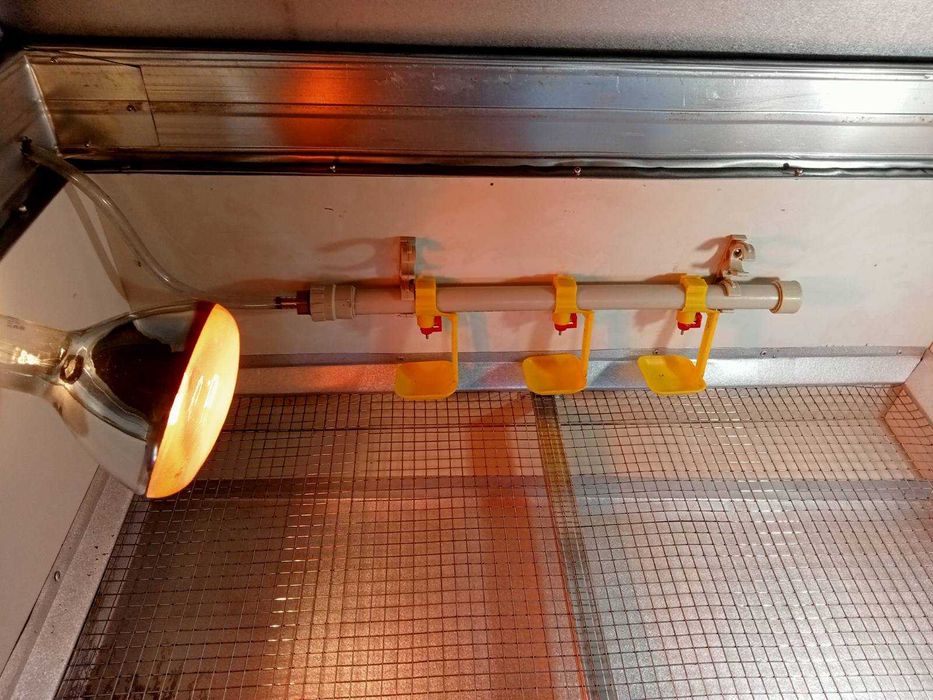 Клетка для перепелов-несушек на 30 голов