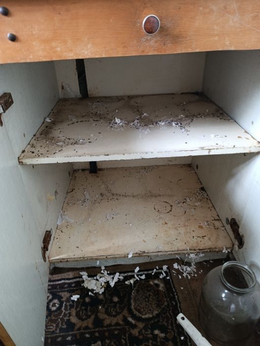 Прибирання до та після квартирантів, Генеральне прибирання