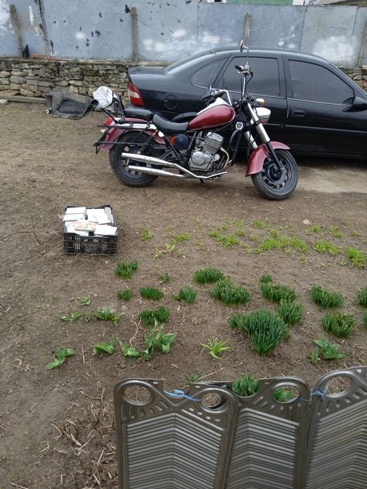 Вайпер тігер 250