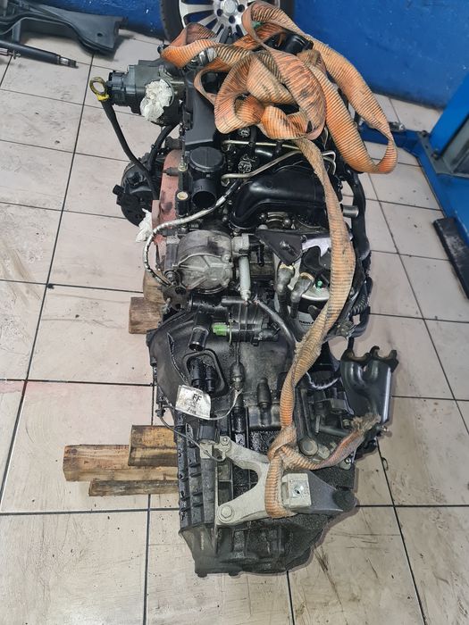 Motor  1.6  tdci