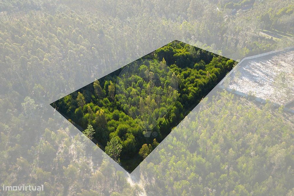 Terreno  para venda — Marinha Grande, Leiria