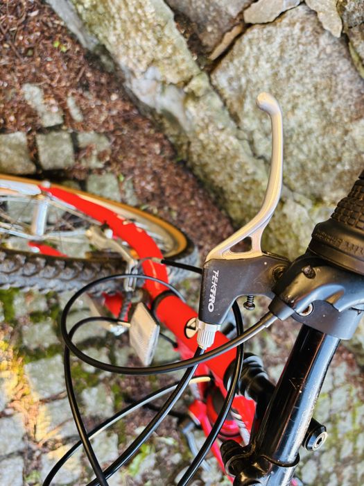 Rower Author 24 cale