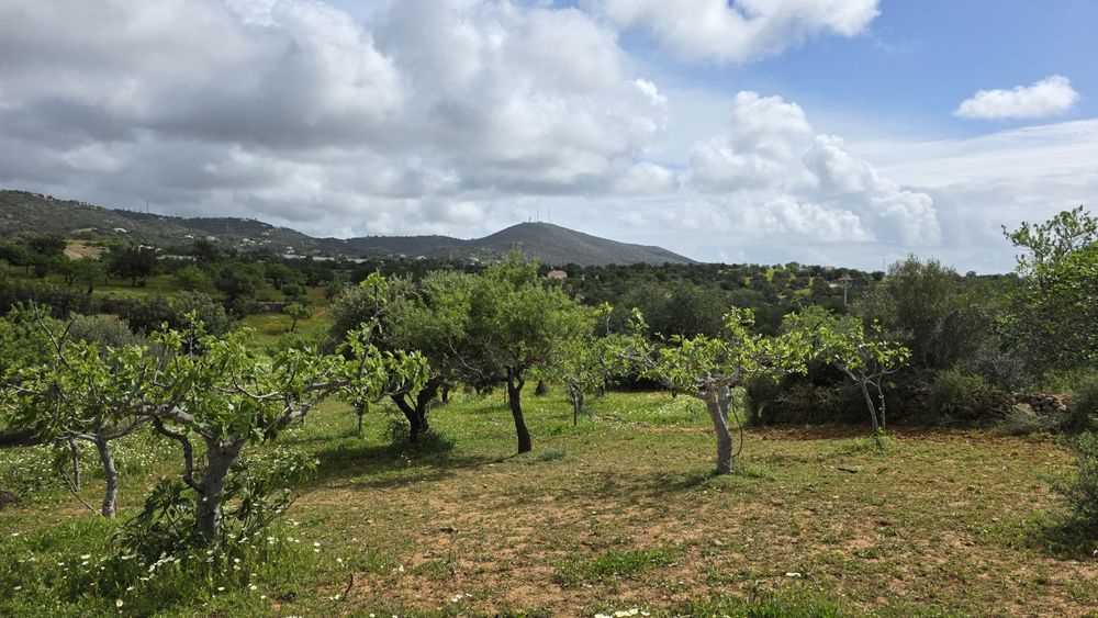 Terreno Rústico com Área Urbana – Estoi, Faro
Terreno rústico à venda