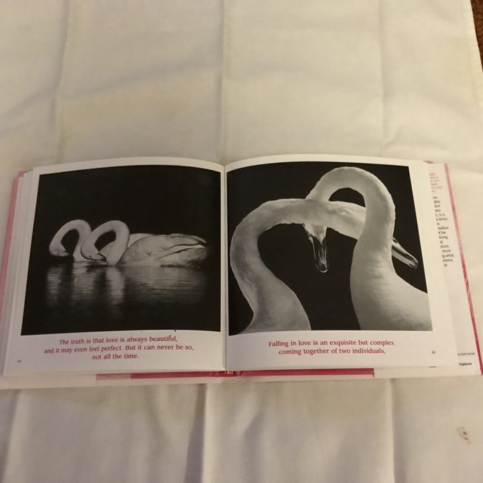 The Simple Truth About LOVE