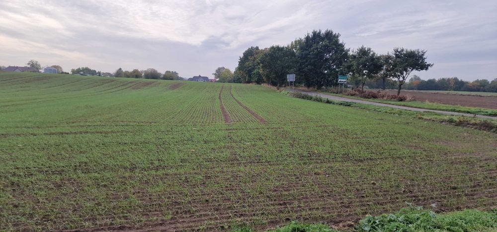 Stargard -Kiczarowo DZIAŁKA 2728 m² –4 WZ! - Widok 5