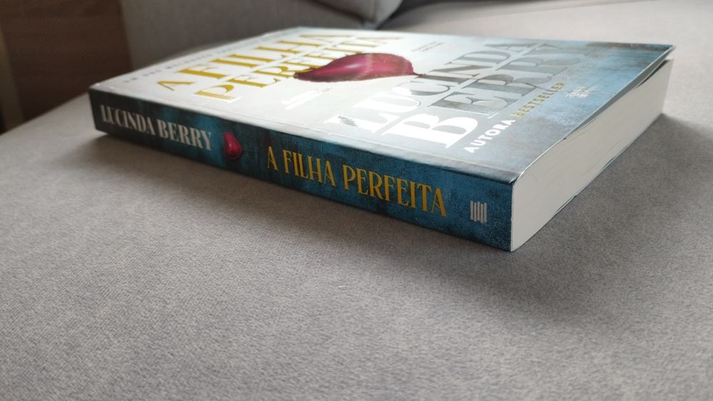 A filha perfeita - Lucinda Berry
