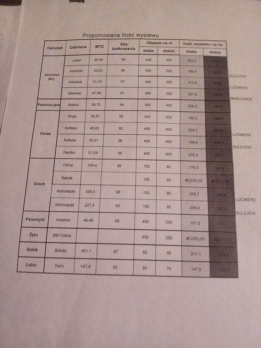 Sprzedam owies RAMBO BINGO po centrali możliwy transport