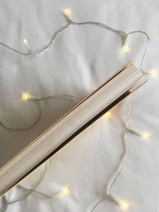 O plano infinito - Isabel Allende - portes incluídos