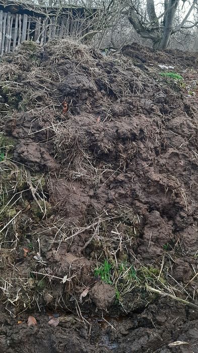 Продам гній коров'ячий