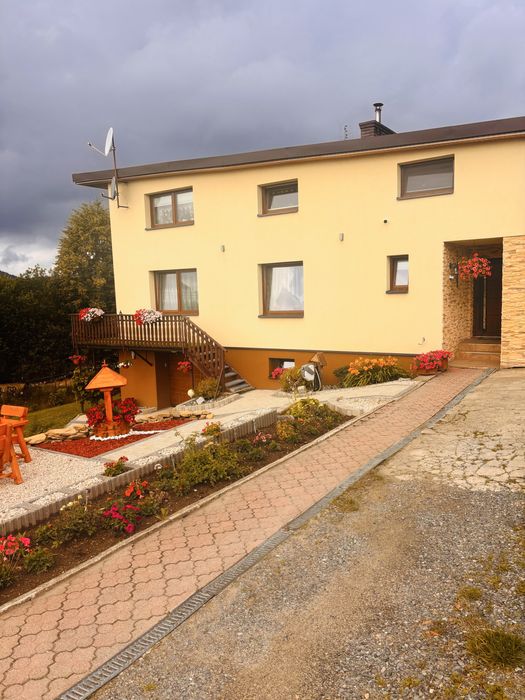 Pokój do wynajęcia