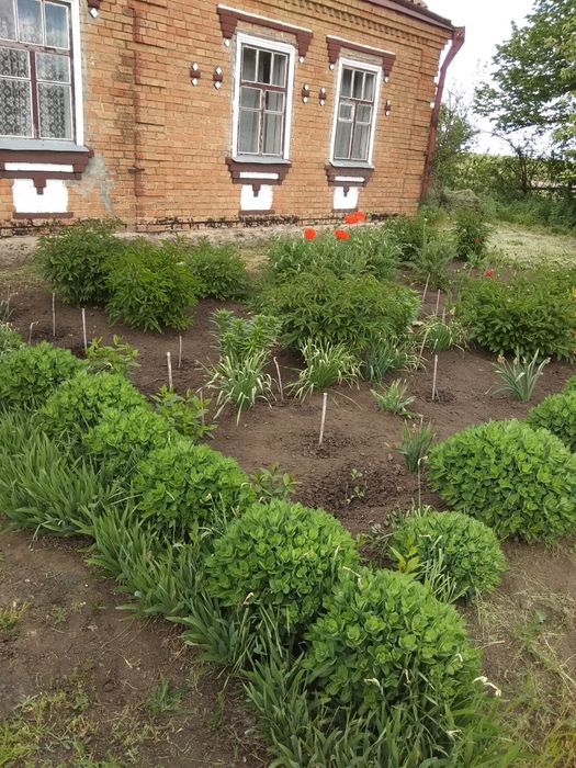 Продаж будинку з землею 70 соток