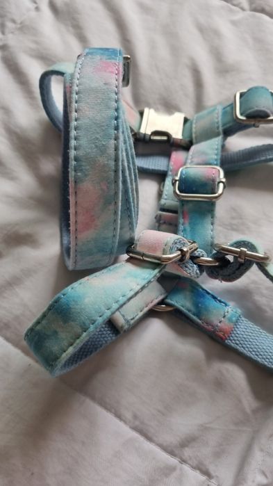 Peitoral arco-iris + trela conjunto