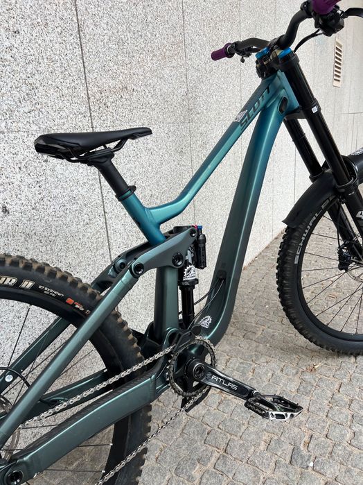 Scott gambler 910 de 2024 DH