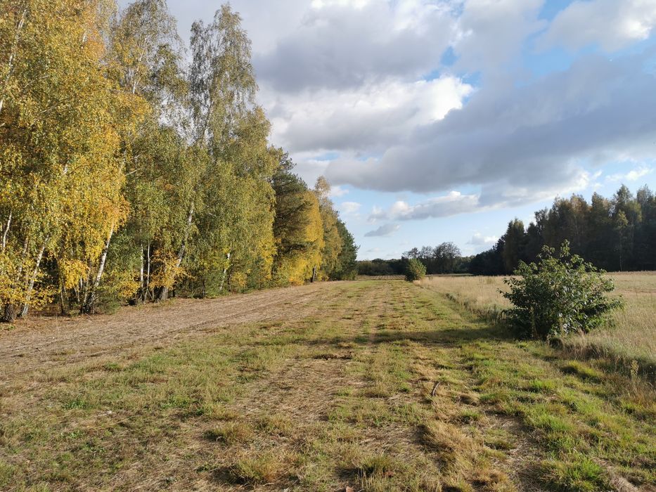 Działki z warunkami zabudowy Janopole gm. Nowe Miasto pow. Płońsk