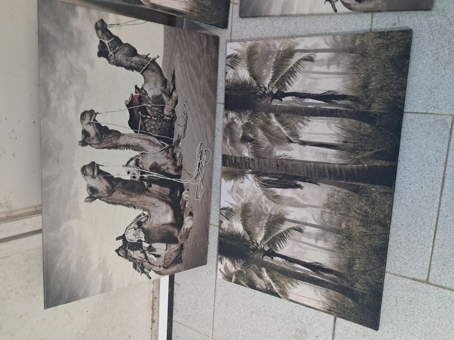 Conjunto de 4 quadros decorativos