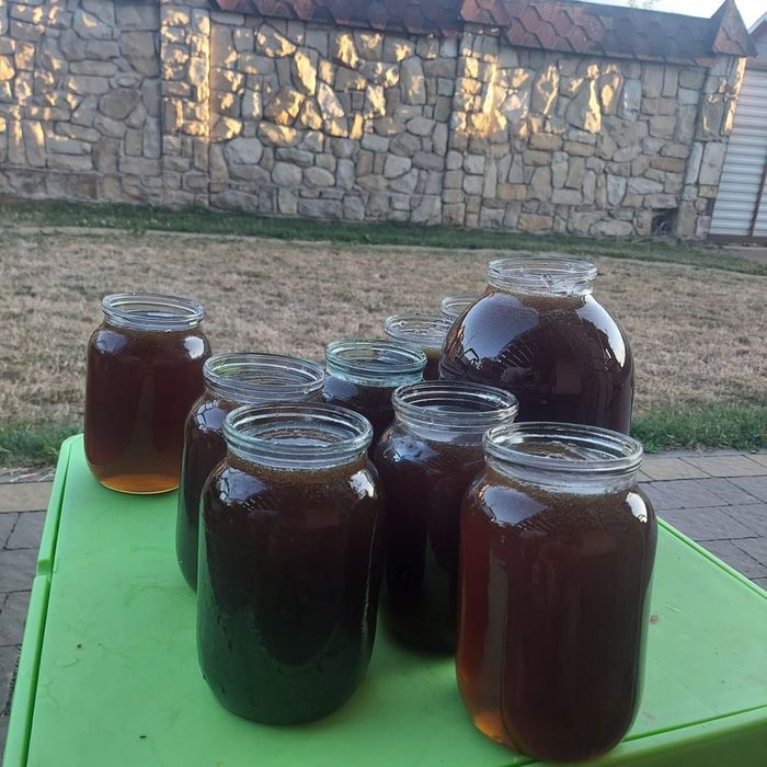 Продам мед високогірний карпатський 2025 збір