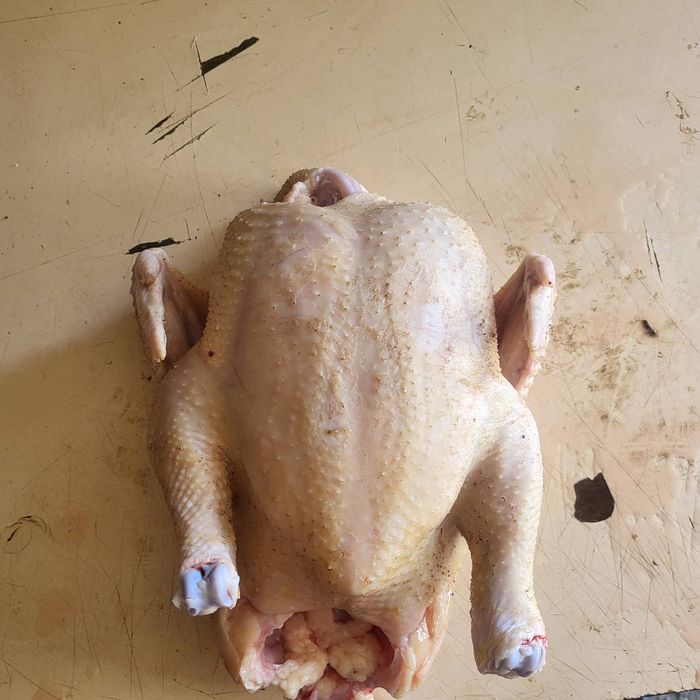 Продам домашнього бройлера