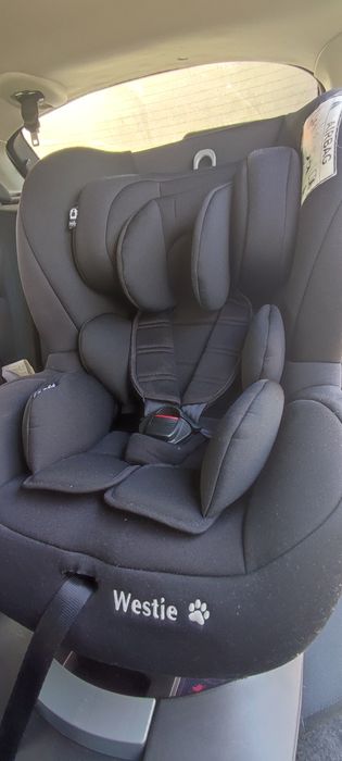 Fotelik Baby Safe Westie