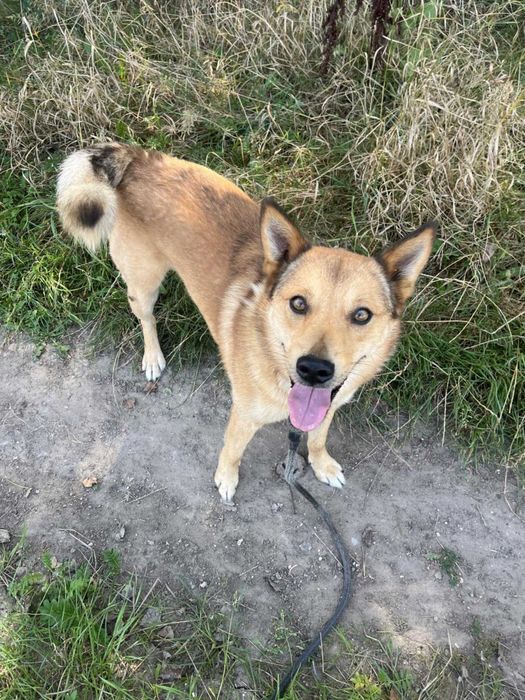 Rudi i Sabinka szukają wspólnego domu