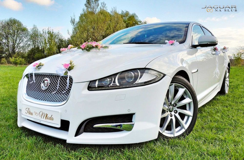 Auto Do Ślubu-Jaguar XF Premium Luxury Edition