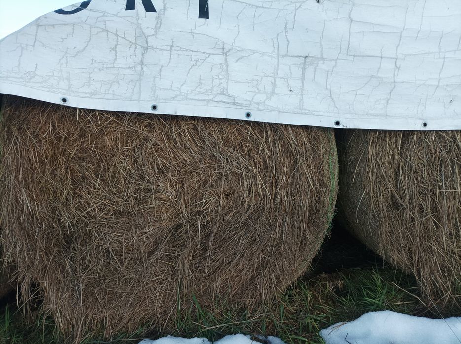 Sprzedam baloty siana