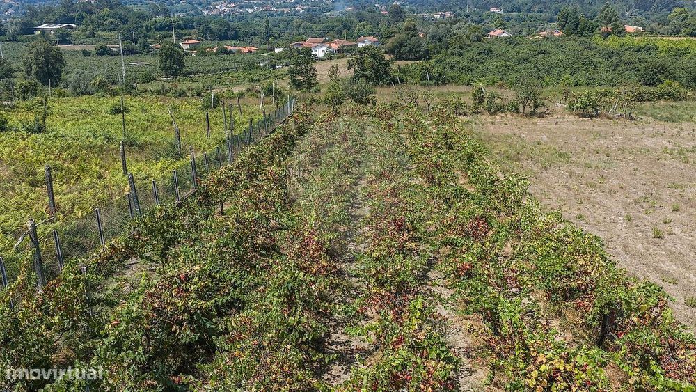 Quinta  para venda