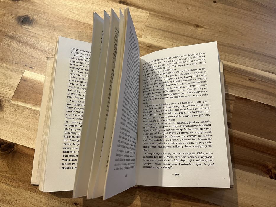 Spiżowa brama Tadeusz Breza