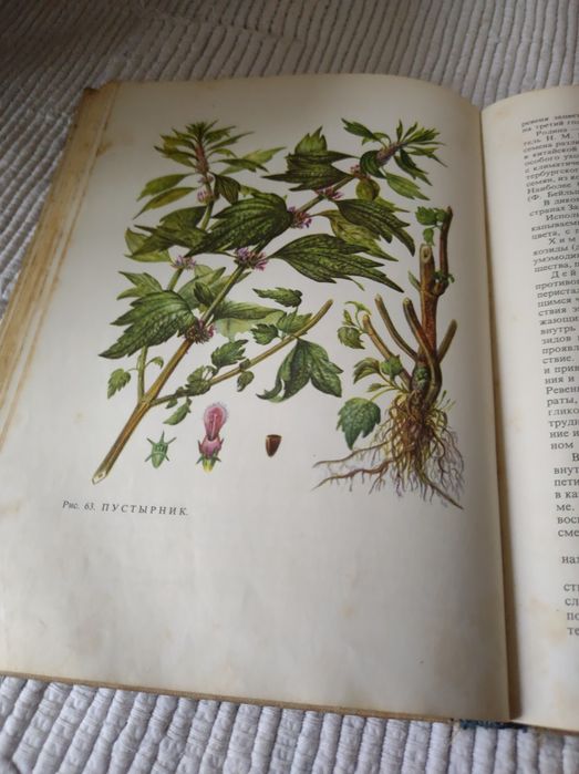 Книга Лікування рослинами 1972 рік