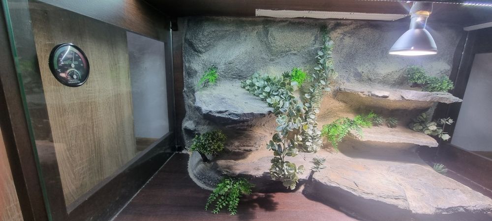 TERRARIUM 120/60/60