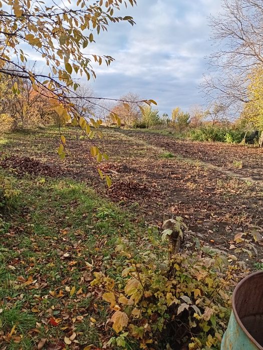 Продається участок з будинком. М. Жмеринка.