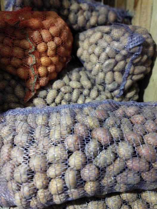 Продам домашню насінну картоплю