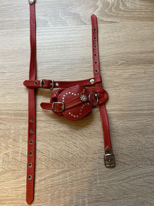 Шлея для маленькоі собачки з сумочкою для корму